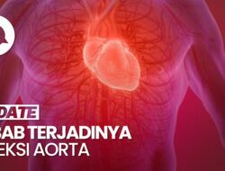 Faktor Utama Dalang Terjadinya Diseksi Aorta