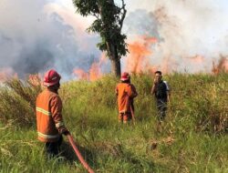 Titik Hotspot di Kalbar Naik Drastis dari 150 Jadi 827