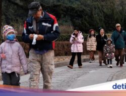 Kelahiran Anjlok, Warga China Lebih Pilih Pelihara Anjing daripada Punya Anak