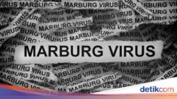 Virus Marburg yang Picu 6 Kasus Tewas di Rwanda Bisa Masuk RI, Ini Wanti-wanti Ahli