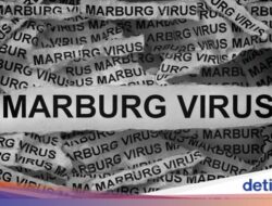 Virus Marburg yang Picu 6 Kasus Tewas di Rwanda Bisa Masuk RI, Ini Wanti-wanti Ahli