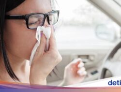 7 Arti Warna Ingus Terkait Kondisi Kesehatan, Kapan Dianjurkan ke Dokter?