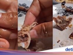 Tak Sengaja Menelan Belatung, Apa Efeknya? Begini Kata Dokter