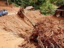 4 Orang Tewas Tertimbun Longsor di Purworejo