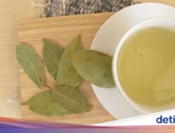 Amankah Minum Air Rebusan Daun Salam Setiap Hari? Begini Jawabannya