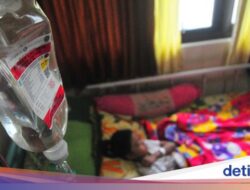 Alert! Kemenkes Keluarkan 2 SE Antisipasi DBD-Leptospirosis, Kasusnya Meningkat di RI