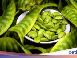 Benarkah Petai Bisa Bantu Turunkan Kadar Gula Darah? Dokter Herbal Bilang Gini