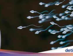 Dokter Sebut 20 Persen Pria Mandul di RI Idap Azoospermia, Kondisi Apa Itu?