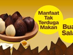 INFOGRAFIS: Buah Salak Ternyata Punya Banyak Manfaat