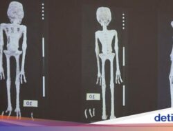 Misteri ‘Mumi Alien’ Berulang kali Bikin Heboh usai Ditemukan Dua Jasad Baru di Peru