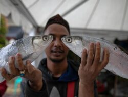 Mengenal Nganter Bandeng, Kebiasaan Orang Betawi-Tionghoa Jelang Imlek