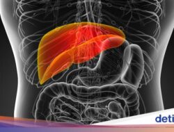 Tanda-tanda Kerusakan Fungsi Liver, Harus Segera Periksa ke RS