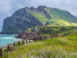 Viral di Drakor, Ini Alasan ‘Haenyeo’ Jeju Kuat Menyelam Tanpa Oksigen