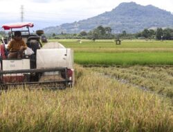 Pengusaha Sebut Penjualan Barang ke Luar Negeri Beras 2.000 Ton Tak Masalah