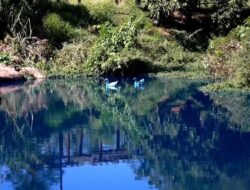 Danau Sao Paolo ‘Membiru’ Gegara Zat Pewarna Tumpah
