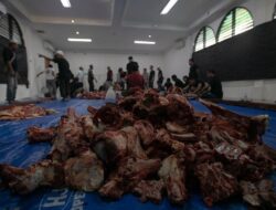 Kebiasaan Unggul ‘Manampuang’, Bagi Daging Kurban Tanpa Kupon di Agam