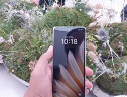 Trik Mudah Cek Penerima Bantuan Sosial Lewat HP