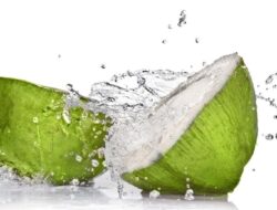 Apa Efek Minum Air Kelapa Setiap Hari? Ini Hasilnya!