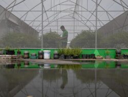 Melihat Green House di Atas Pasar Mayestik