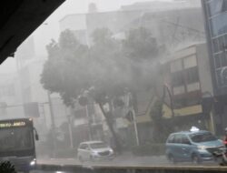 Waspada Dampak Siklon Bualoi, Daerah-daerah Ini Potensi Hujan Ekstrem