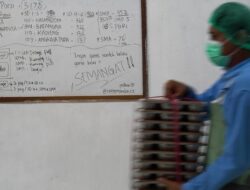 Temuan Ulat Sampai sekarang Makanan Basi di MBG Wilayah Kepri
