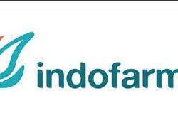 Indofarma Pemutusan Hubungan Kerja Massal 413 Karyawan, Sempat Tersisa 3 Orang