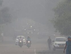 1 Dekade Perjanjian Paris, Sejauh Apa Dunia dari Target 1,5 Celsius?