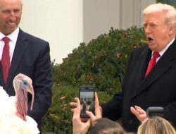 Momen Trump Beri Pengampunan Kalkun Thanksgiving di Gedung Putih