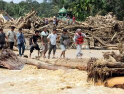 Belasan Ribu Hektare Hutan Tutupan di Aceh, Sumut, Sumbar Hilang