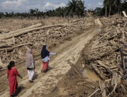 Update Korban Bencana Banjir Longsor Sumatra: 1.016 Meninggal, 212 Hilang