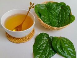 Ini 7 Manfaat Fantastis Air Rebusan Daun Sirih