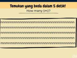 Hanya Sedikit yang Bisa Jawab Benar Semua, Yakin Lolos dari Jebakan Visual Ini?