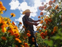 Trik Menanam Bunga untuk Pemula yang Mudah Diikuti