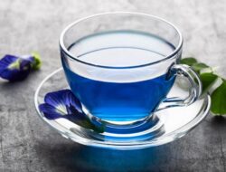 Ini Waktu Unggul Minum Teh Bunga Telang dan Deretan Manfaatnya