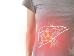 Studi Temukan Golongan Darah Ini Lebih Rentan Alami Kerusakan Hati