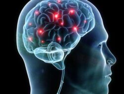 Diet Rendah Kalori Bisa Bantu Cegah Penuaan Otak, Ini Penjelasannya