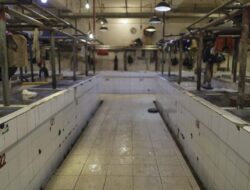 Pedagang Daging Sapi se-Jabodetabek Mogok Jualan Sampai saat ini Sabtu, Kenapa?