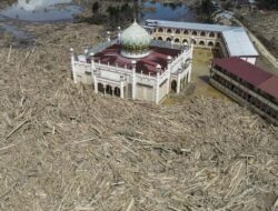 Daftar 28 Perusahaan yang Izinnya Dicabut Prabowo Imbas Bencana Banjir Sumatra