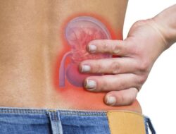 Waspada Kanker Ginjal, Penyakit Senyap dan Sering Terlambat Terdeteksi