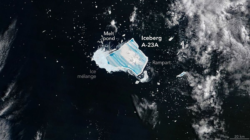 Usai Pecah Berkeping-keping, Gunung Es Raksasa di Ambang “Kepunahan”