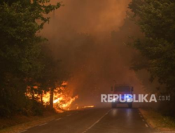 Kebakaran Hutan Picu Ledakan Amunisi Konflik Bersenjata Dunia II, Prancis Dibayangi Ancaman Ganda
