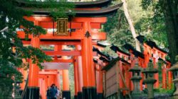 Liburan Impian di Jepang Tanpa Rumit