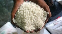 Tak Harus Lagi Perluasan Lahan Sawah